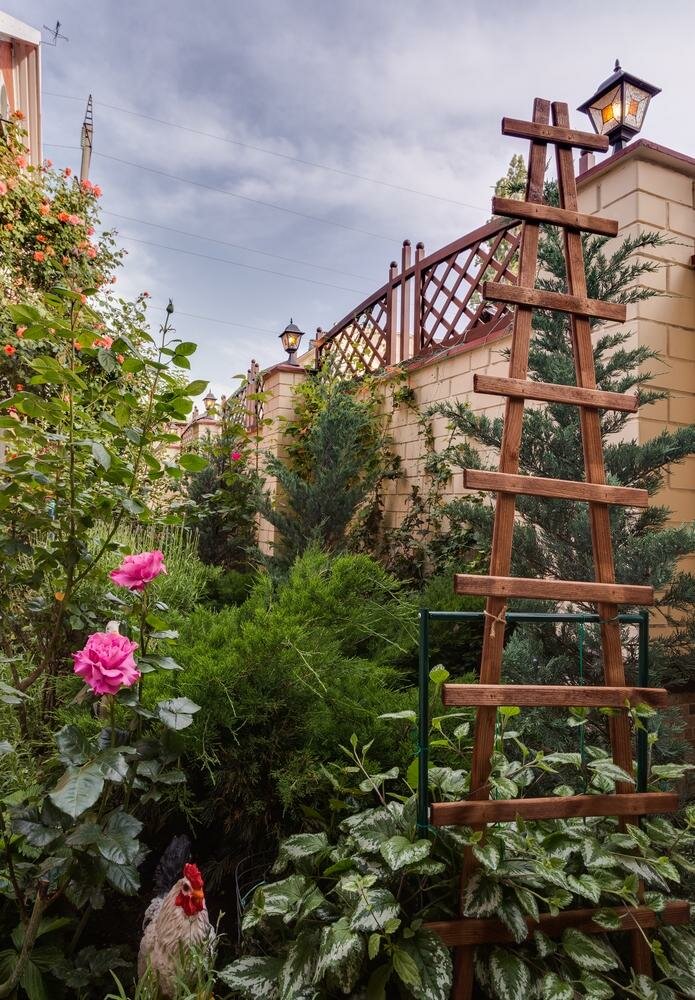 Гостиница Олива Анапа-14