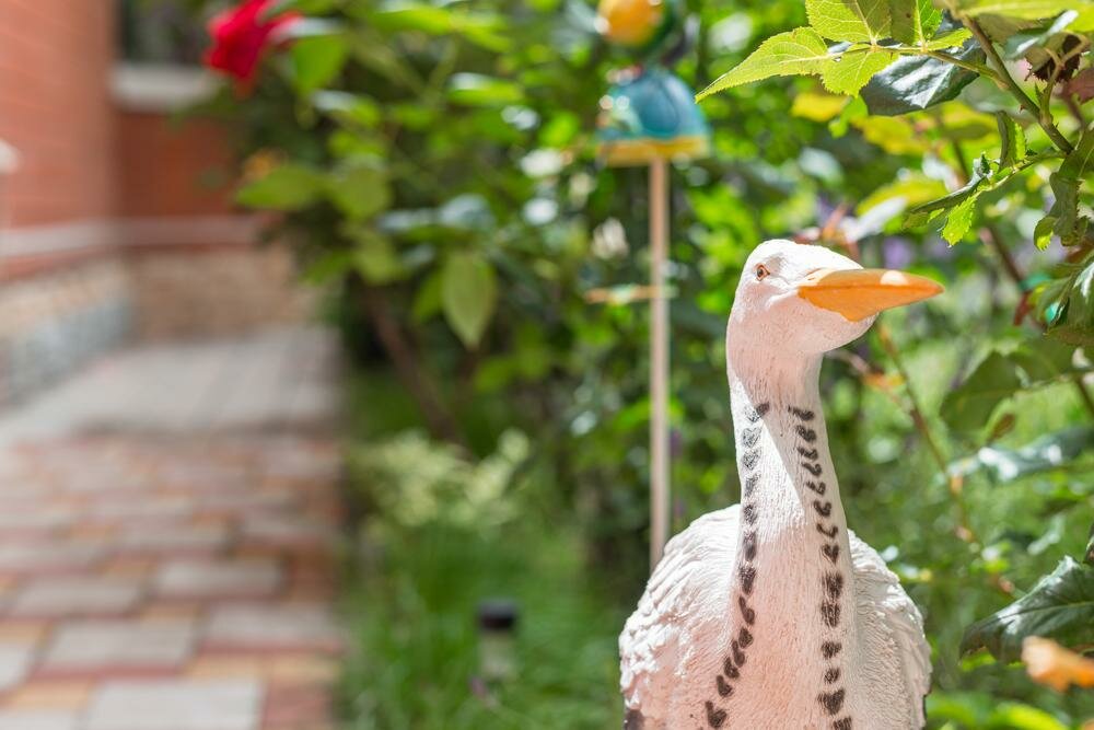 Гостиница Олива Анапа-43