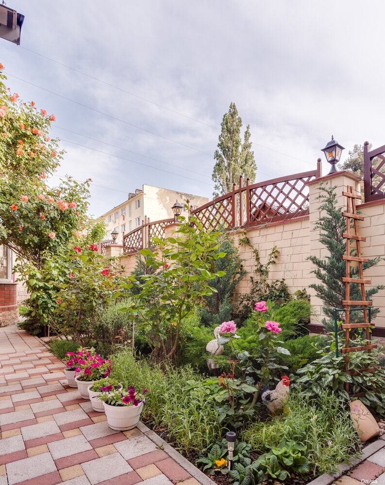 Гостиница Олива Анапа-231