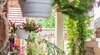 Гостиница Guest house Oliva Анапа-5