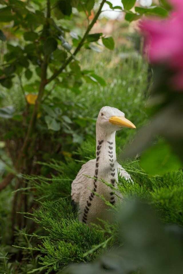 Гостиница Олива Анапа-9